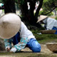 Femmes qui jardinent. Jardin de Kenrokuen, Kanazawa